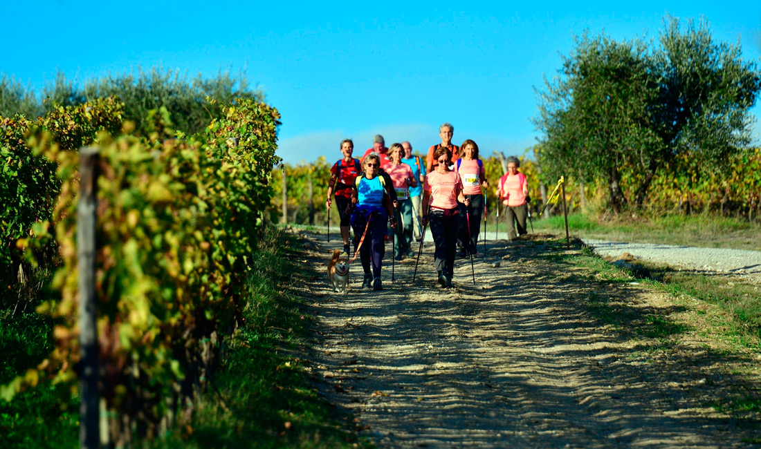 Chianti Ecomarathon sport and wine 4