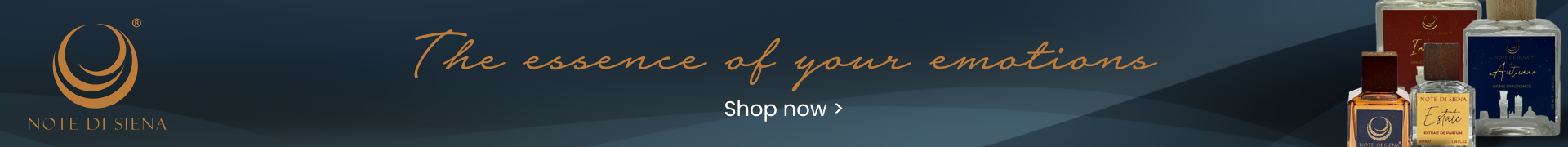 banner-nds-en