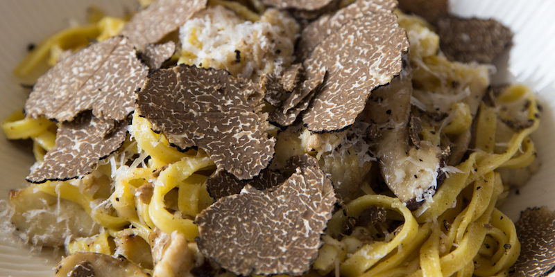 truffle-hunting-pasta-with-truffles