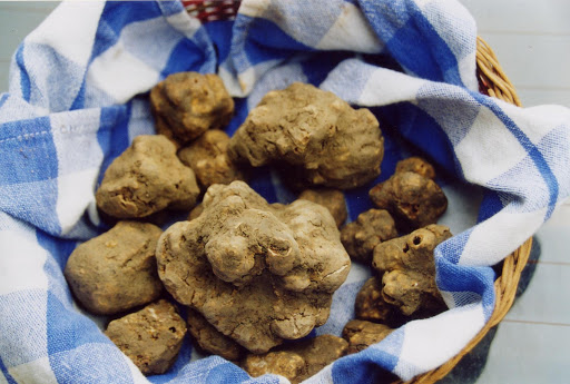 truffles