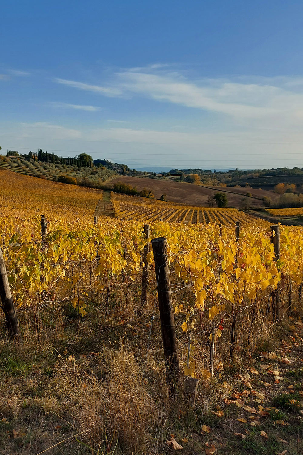 Chianti