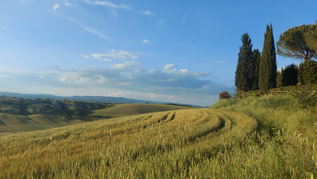 Crete Senesi