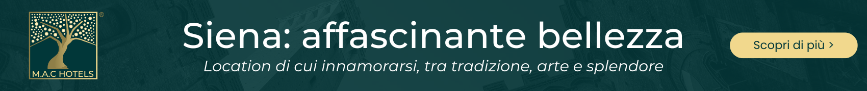banner-mac-hotels