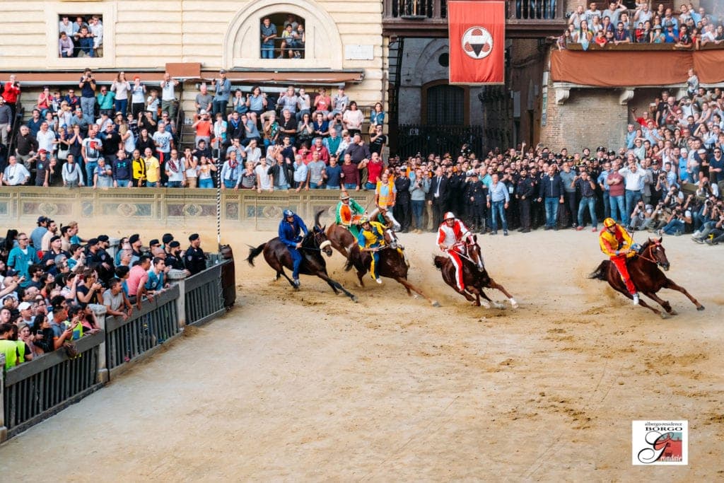 palio-10