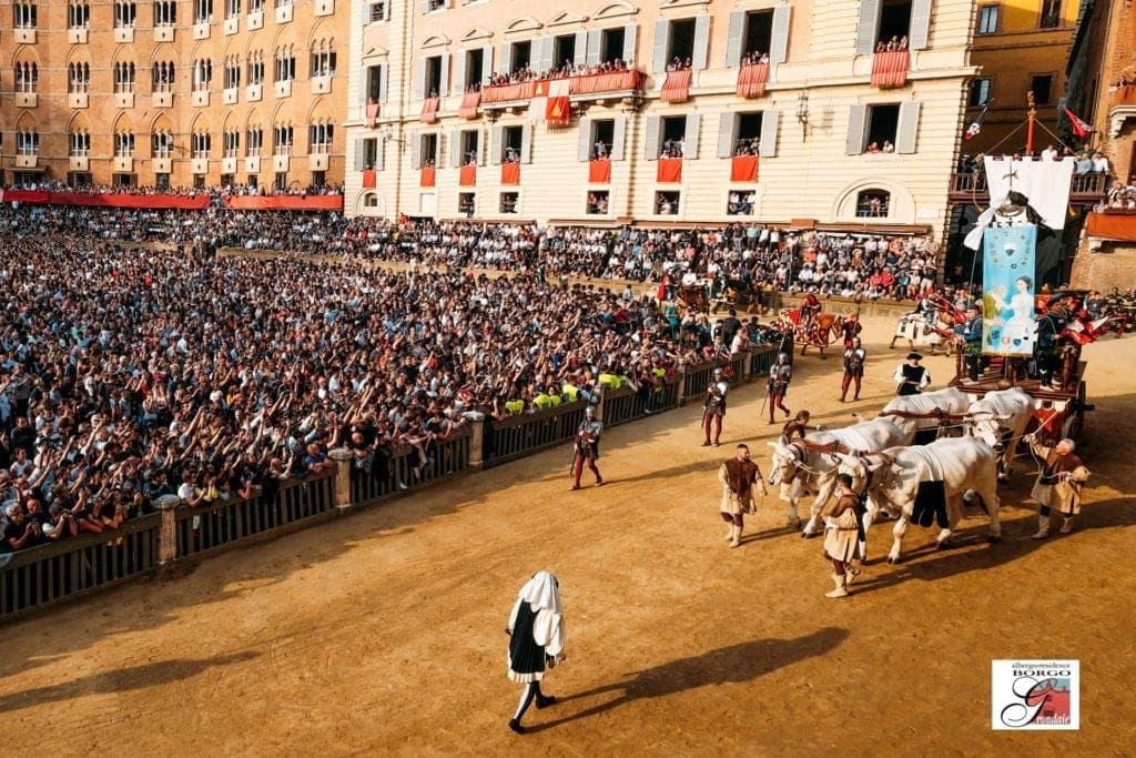 palio-7