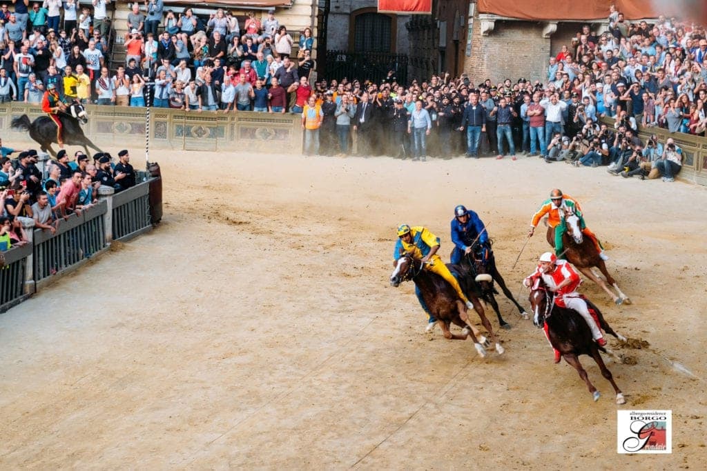palio-9