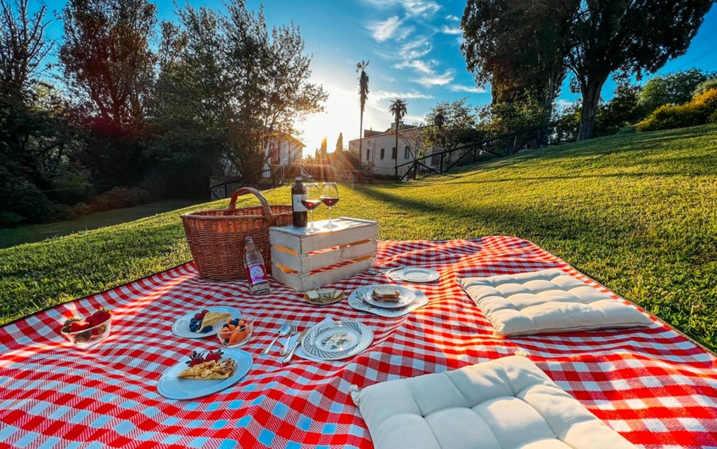 picnic