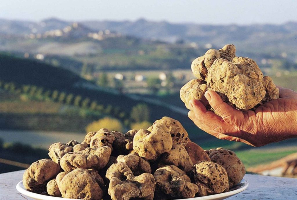 truffle